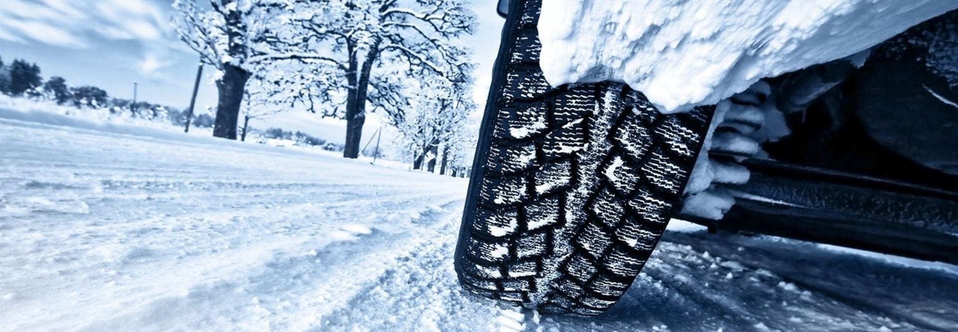 , Accueil, Cibema Richard